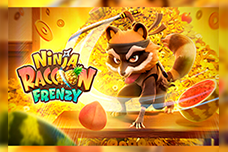 Ninja-Raccoon-Frenzy.png